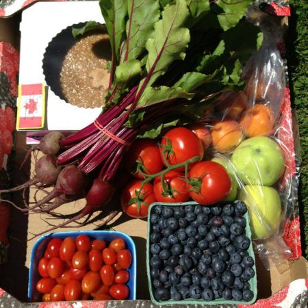 taking all the market goodies home